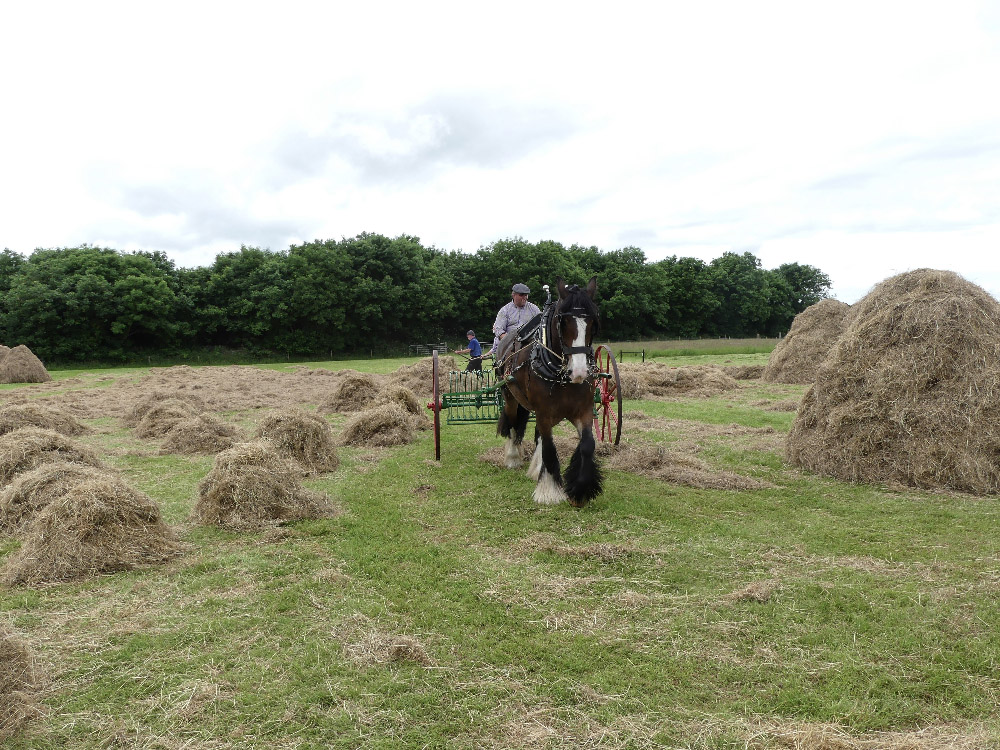 2016 Country Life Ex27