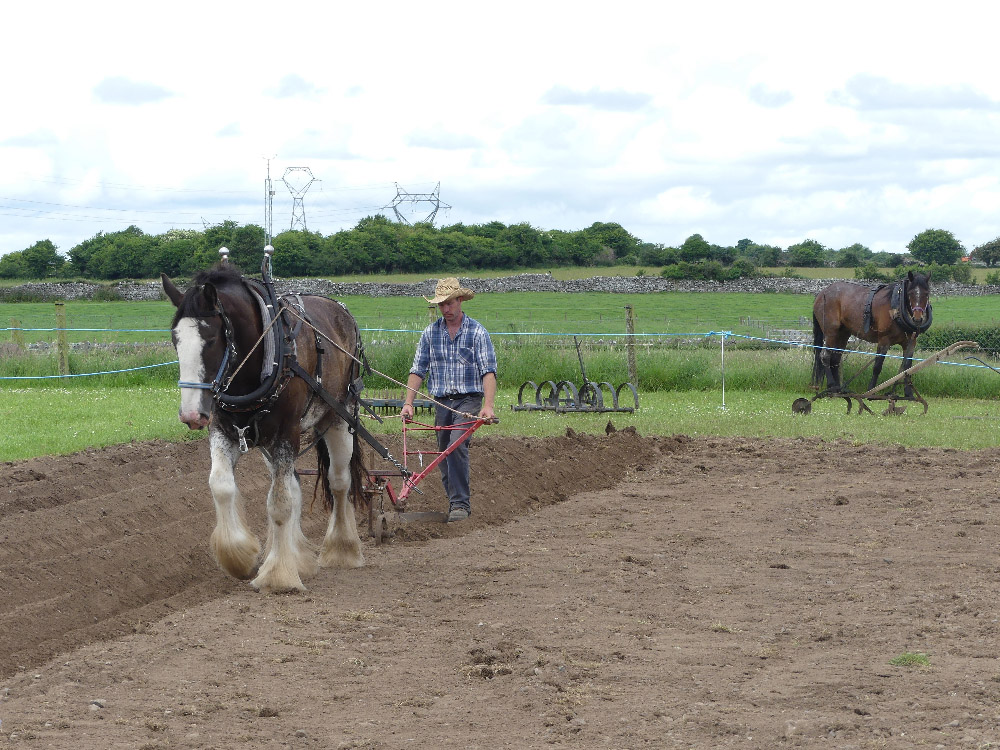 2016 Country Life Ex27