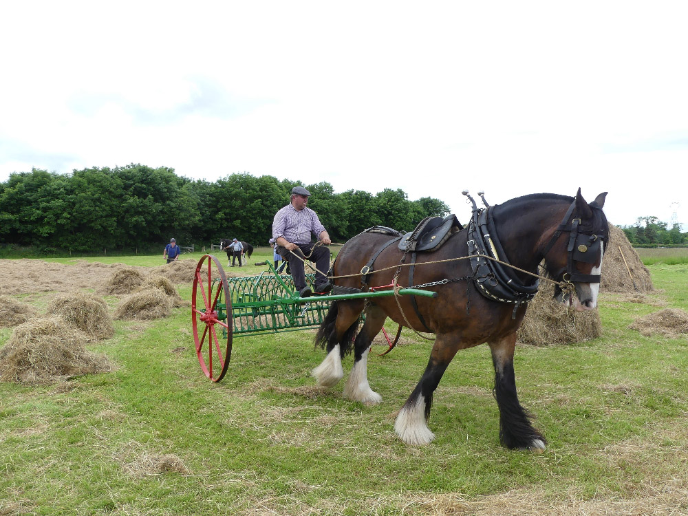 2016 Country Life Ex27