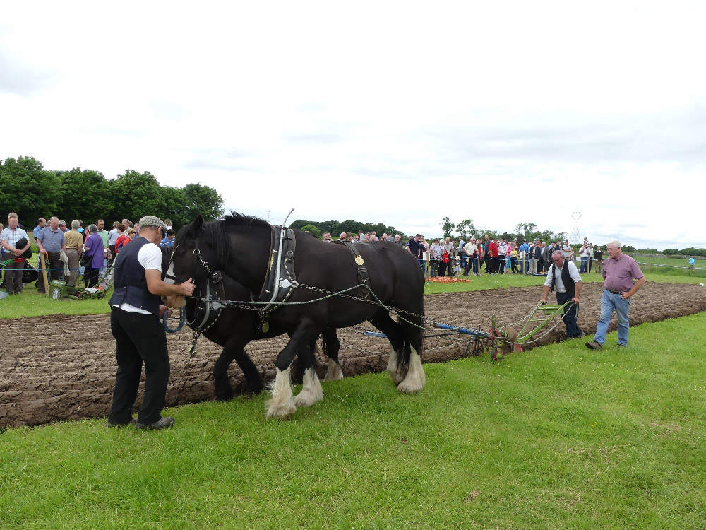 2016 Country Life Ex27